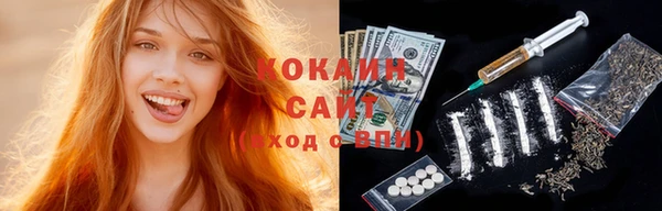 крисы Дмитров