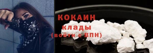 крисы Дмитров