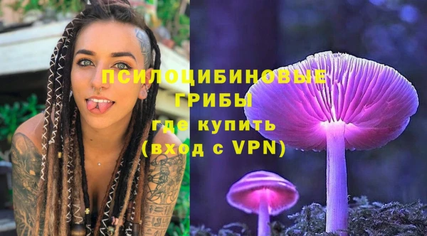 СК Дмитриев