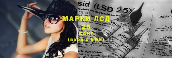 крисы Дмитров