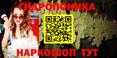 ешки Гай