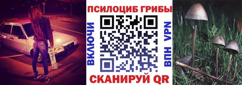 Галлюциногенные грибы Psilocybe  сколько стоит  Звенигород 