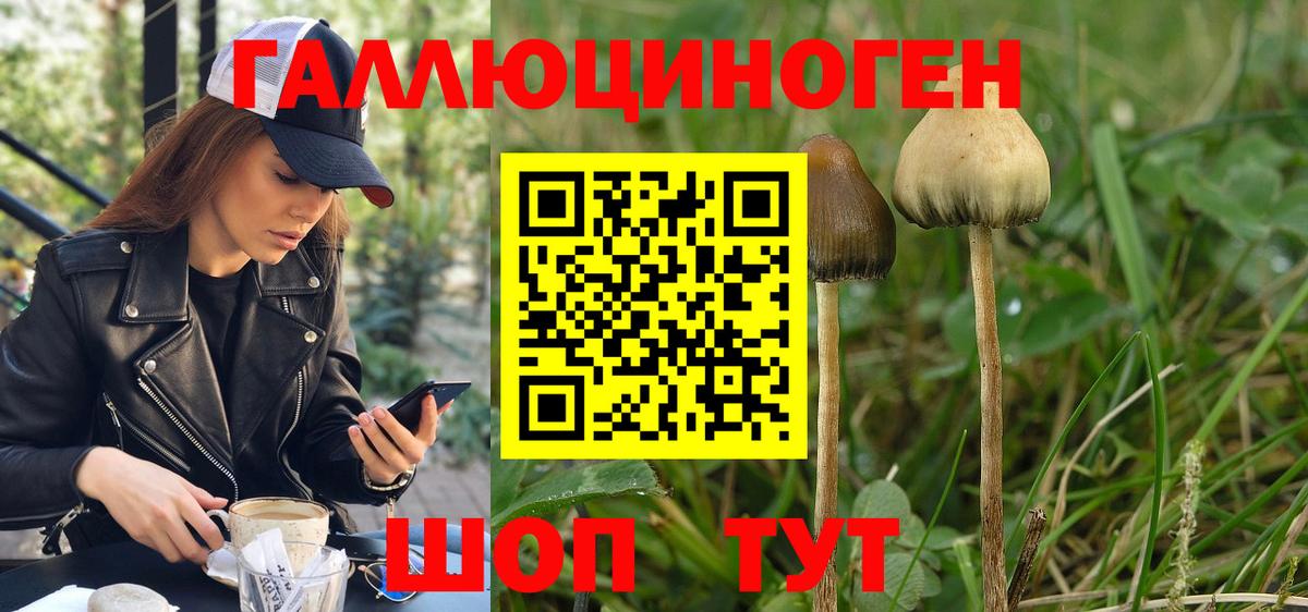 Псилоцибиновые грибы ЛСД  купить наркотики сайты  Вход с VPN  Звенигород  Псилоцибиновые грибы GOLDEN TEACHER 
